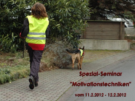 Eingangsbild Mantrailing